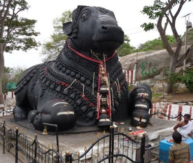 nandi nandi