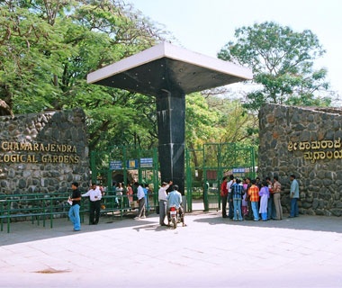 Zoo